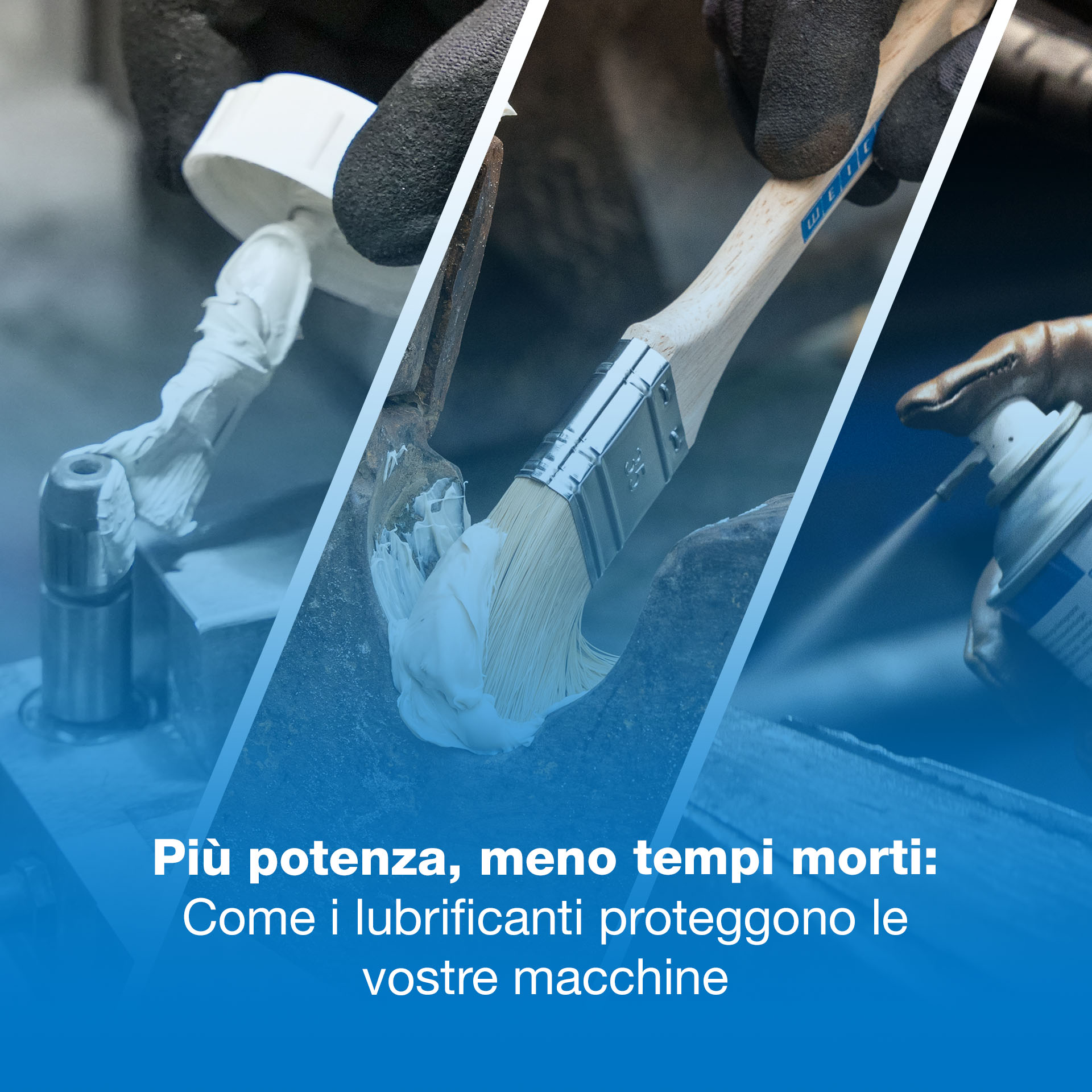 Shoe, Cleaning, Sneaker, Brush, Glove