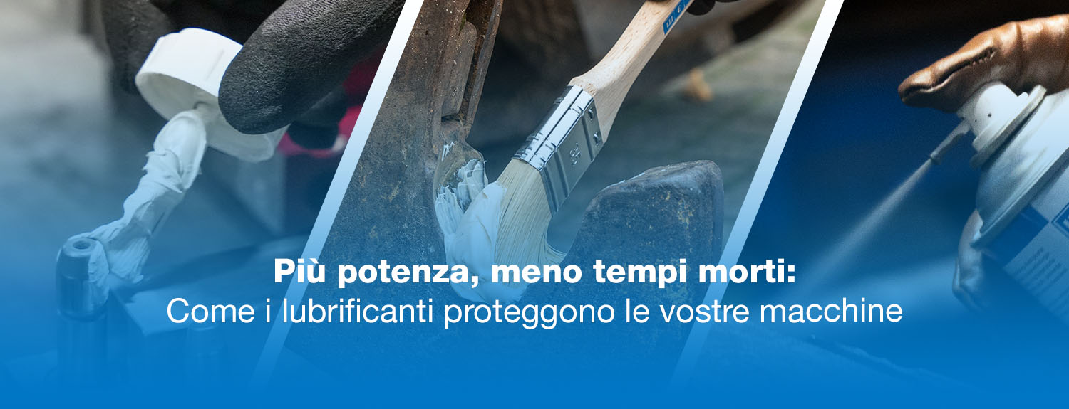 Brush, Tool, Footwear, Shoe, Sneaker