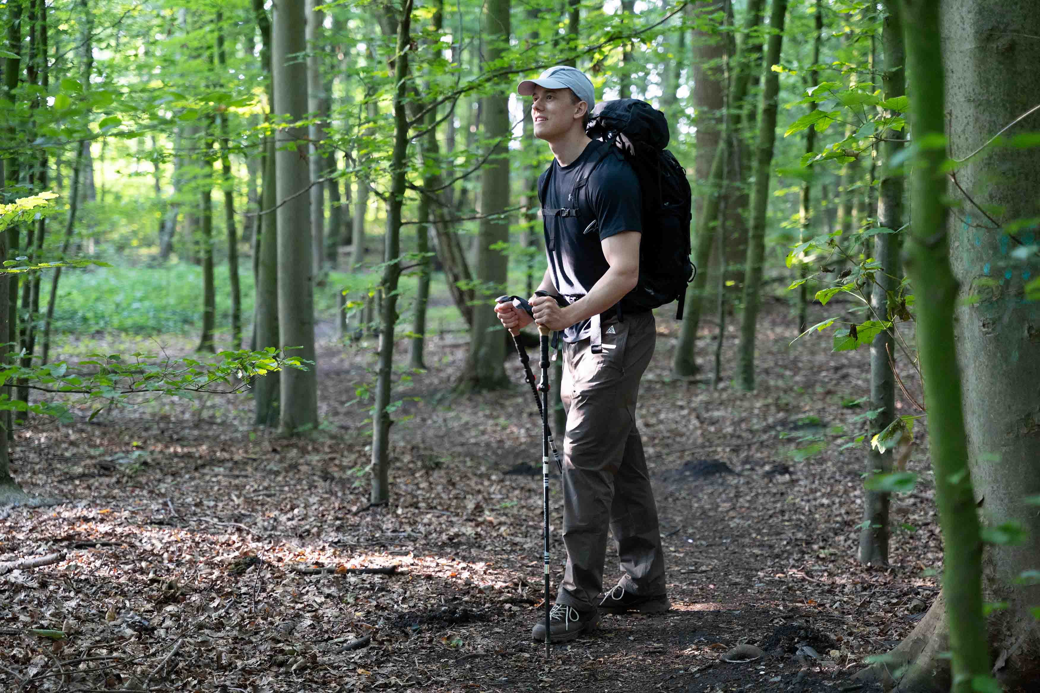 Animated markings image Animated markings image